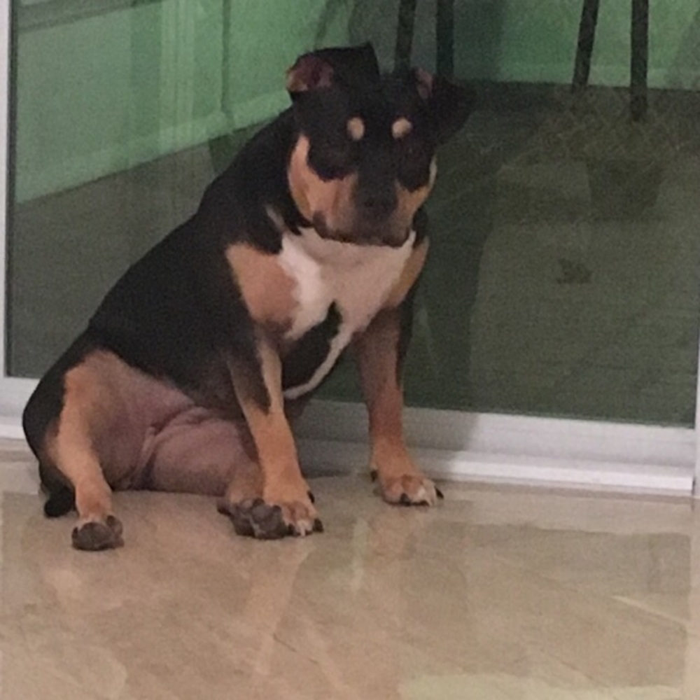 Meet your Posher, Wilhelm